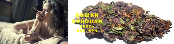 ПСИЛОЦИБИНОВЫЕ ГРИБЫ Бугульма