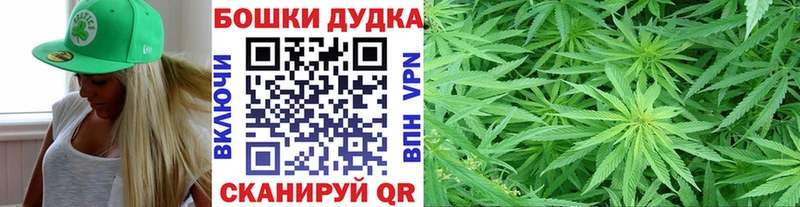 закладка  Кашин  Марихуана Bruce Banner 